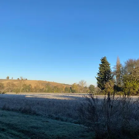 Cosy T3 Dans Corps De Ferme L écureuil Appartement Vieillevigne (Haute-Garonne)