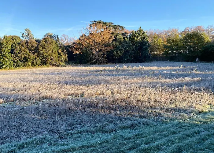 Cosy T3 Dans Corps De Ferme L écureuil Appartement Vieillevigne (Haute-Garonne)